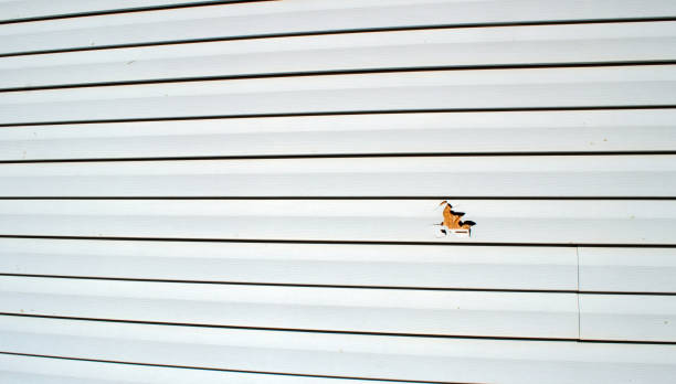 Best Composite Siding  in Elroy, WI