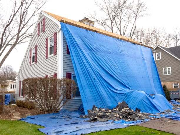 Best Residential Vinyl Siding Installation  in Elroy, WI