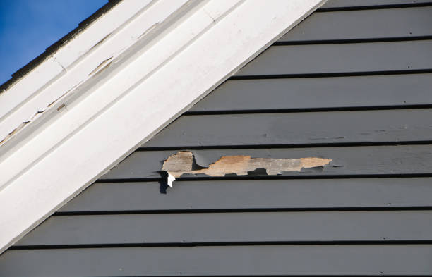 Best Steel Siding Installation  in Elroy, WI