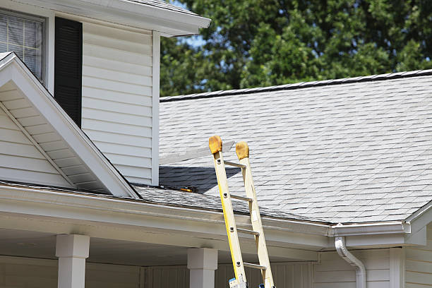 Affordable siding repair and maintenance services in Elroy, WI