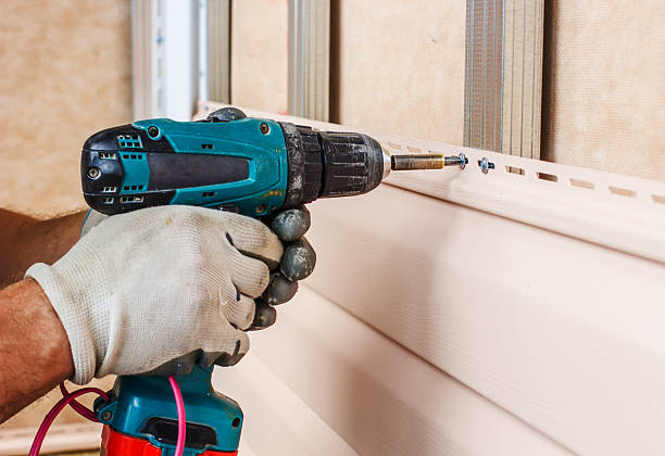 Best Custom Trim and Detailing for Siding  in Elroy, WI